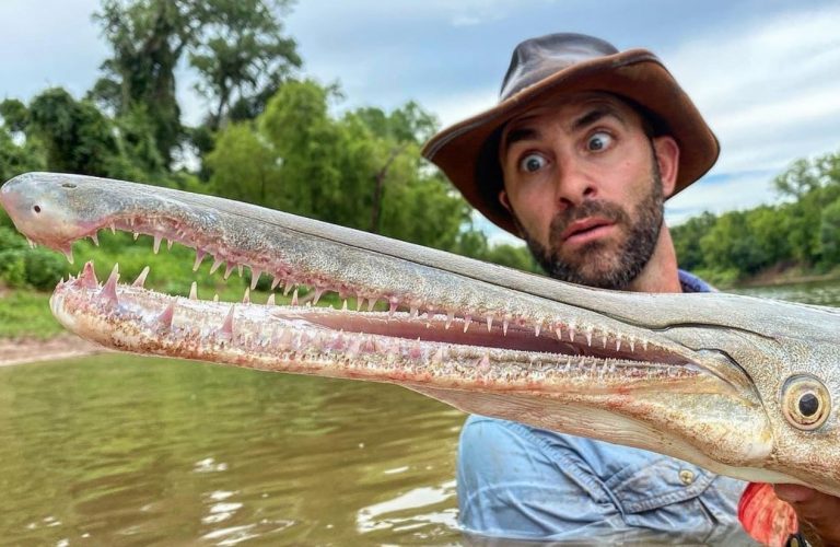 Coyote Peterson Net Worth & YouTube Earnings! 🥇 (2021)